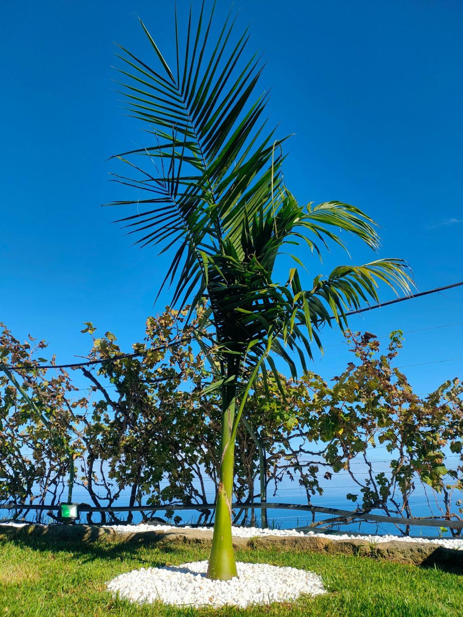 Casa Finca El Roque La Guancha Exteriér fotografie
